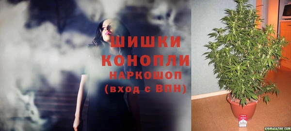 индика Абинск