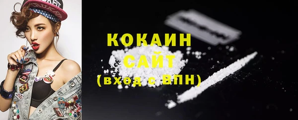 индика Абинск