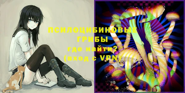 индика Абинск