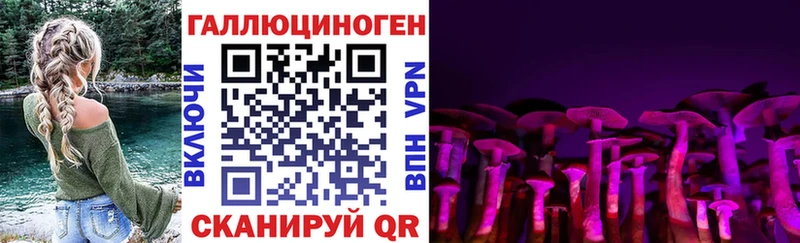 Галлюциногенные грибы мицелий  Карпинск 