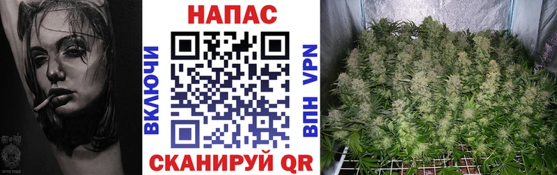 цены   Карпинск  Бошки Шишки планчик 